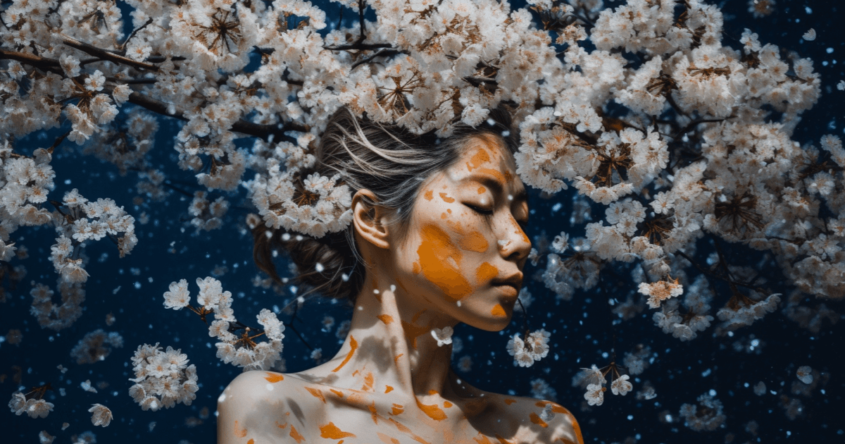 Cherry Blossoms in Japan